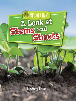 cover image of A Look at Stems and Shoots